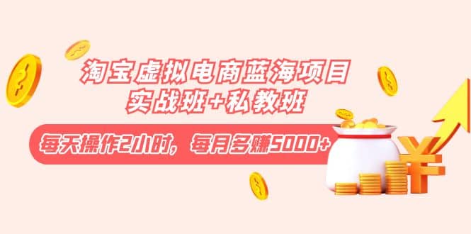 淘宝虚拟电商蓝海项目实战班+私教班安创网-网创项目资源站-副业项目-创业项目-搞钱项目安创网
