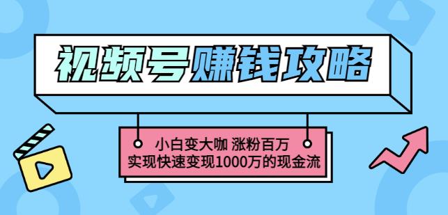 玩转微信视频号赚钱：小白变大咖涨粉百万实现快速变现1000万的现金流安创网-网创项目资源站-副业项目-创业项目-搞钱项目安创网
