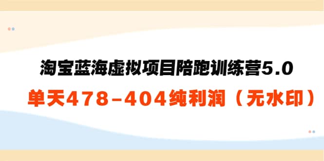 淘宝蓝海虚拟项目陪跑训练营5.0：单天478纯利润（无水印）安创网-网创项目资源站-副业项目-创业项目-搞钱项目安创网