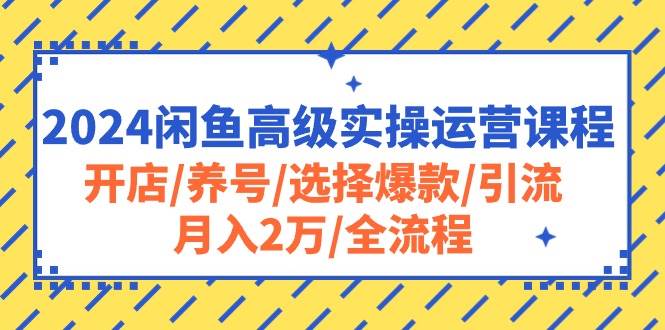 2024闲鱼高级实操运营课程：开店/养号/选择爆款/引流/月入2万/全流程安创网-网创项目资源站-副业项目-创业项目-搞钱项目安创网