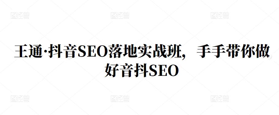 王通·抖音SEO落地实战班，手‬手带你做好音抖‬‬SEO安创网-网创项目资源站-副业项目-创业项目-搞钱项目安创网