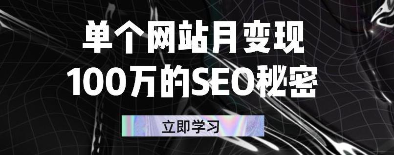 单个网站月变现100万的SEO秘密，百分百做出赚钱站点安创网-网创项目资源站-副业项目-创业项目-搞钱项目安创网