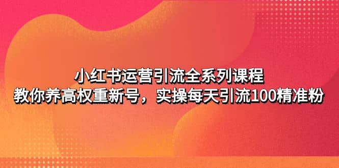 小红书运营引流全系列课程：教你养高权重新号安创网-网创项目资源站-副业项目-创业项目-搞钱项目安创网