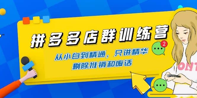 拼多多店群训练营：从小白到精通，只讲精华，剔除推销和废话安创网-网创项目资源站-副业项目-创业项目-搞钱项目安创网