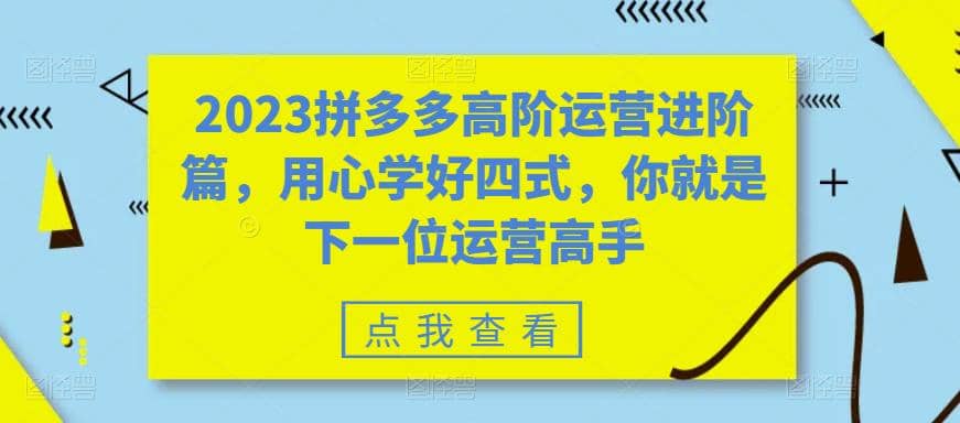 2023拼多多高阶运营进阶篇，用心学好四式，你就是下一位运营高手安创网-网创项目资源站-副业项目-创业项目-搞钱项目安创网