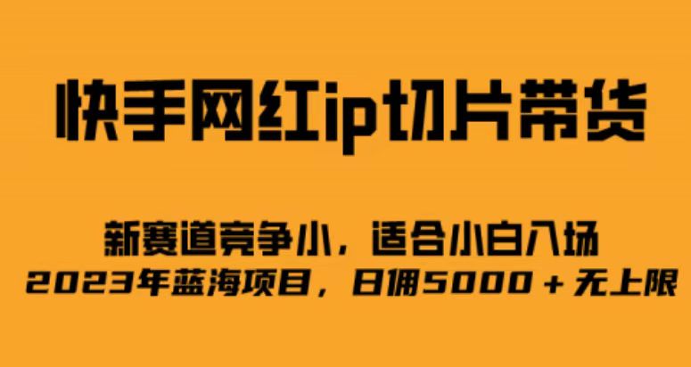 快手网红ip切片新赛道，竞争小事，适合小白 2023蓝海项目安创网-网创项目资源站-副业项目-创业项目-搞钱项目安创网
