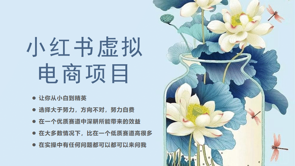 小红书虚拟电商从0到1，让你从小白到精英（20节实操课程）安创网-网创项目资源站-副业项目-创业项目-搞钱项目安创网