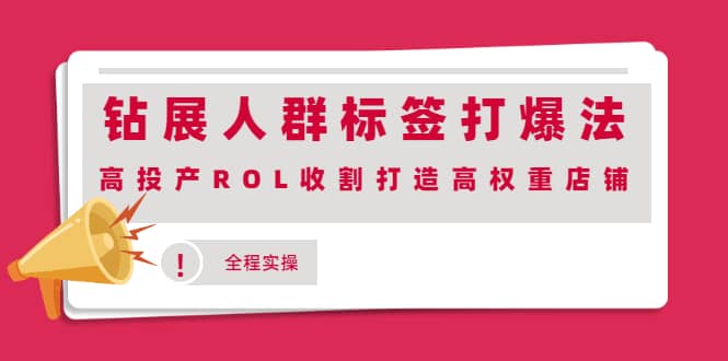 钻展人群标签打爆法，高投产ROL收割打造高权重店铺(全程实操)安创网-网创项目资源站-副业项目-创业项目-搞钱项目安创网