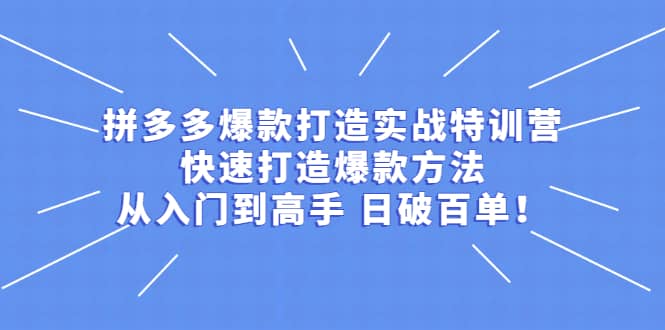拼多多爆款打造实战特训营：快速打造爆款方法，从入门到高手 日破百单安创网-网创项目资源站-副业项目-创业项目-搞钱项目安创网