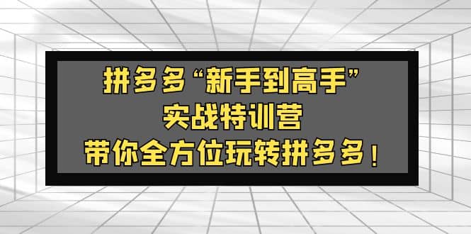 拼多多“新手到高手”实战特训营：带你全方位玩转拼多多安创网-网创项目资源站-副业项目-创业项目-搞钱项目安创网