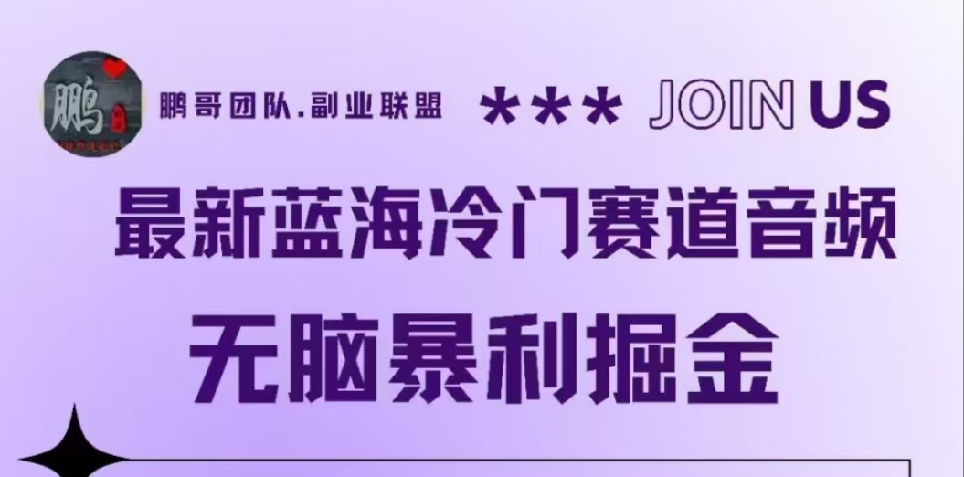最新蓝海冷门赛道音频，无脑暴利掘金安创网-网创项目资源站-副业项目-创业项目-搞钱项目安创网
