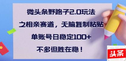 全网首发微头条野路子2.0玩法之相亲赛道，无脑搬砖复制粘贴，单账号日稳定300+保姆级教程安创网-网创项目资源站-副业项目-创业项目-搞钱项目安创网