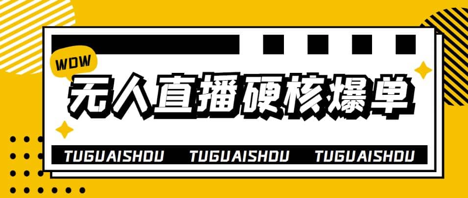 大飞无人直播硬核爆单技术，轻松玩转无人直播安创网-网创项目资源站-副业项目-创业项目-搞钱项目安创网