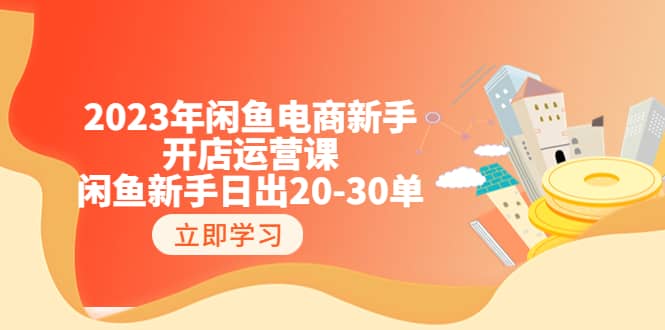 2023年闲鱼电商新手开店运营课：闲鱼新手日出20-30单（18节-实战干货）安创网-网创项目资源站-副业项目-创业项目-搞钱项目安创网