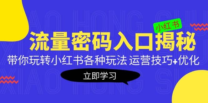 小红书流量密码入口揭秘：带你玩转小红书各种玩法 运营技巧+优化安创网-网创项目资源站-副业项目-创业项目-搞钱项目安创网