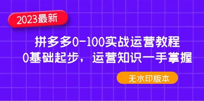 2023拼多多0-100实战运营教程，0基础起步，运营知识一手掌握（无水印）安创网-网创项目资源站-副业项目-创业项目-搞钱项目安创网
