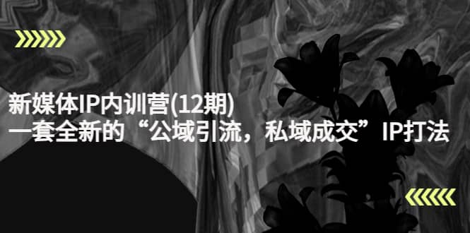 新媒体IP内训营(12期)，一套全新的“公域引流，私域成交”IP打法，直接带走安创网-网创项目资源站-副业项目-创业项目-搞钱项目安创网