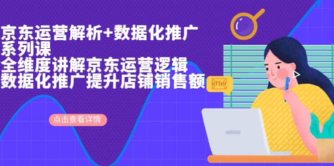京东运营解析与数据化推广系列课，全维度讲解京东运营逻辑+数据化推广提升店铺销售额安创网-网创项目资源站-副业项目-创业项目-搞钱项目安创网