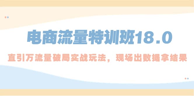 电商流量特训班18.0，直引万流量破局实操玩法，现场出数据拿结果安创网-网创项目资源站-副业项目-创业项目-搞钱项目安创网