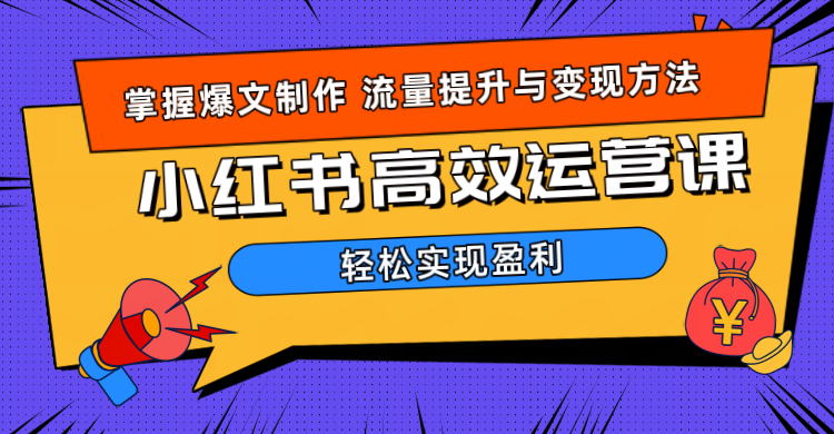 价值980小红书运营操作指南安创网-网创项目资源站-副业项目-创业项目-搞钱项目安创网
