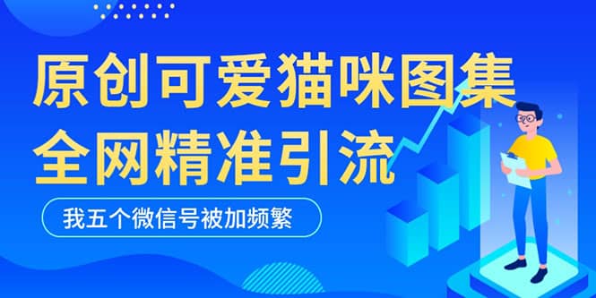 黑科技纯原创可爱猫咪图片，全网精准引流，实操5个VX号被加频繁安创网-网创项目资源站-副业项目-创业项目-搞钱项目安创网