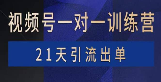 视频号训练营：带货，涨粉，直播，游戏，四大变现新方向，21天引流出单安创网-网创项目资源站-副业项目-创业项目-搞钱项目安创网