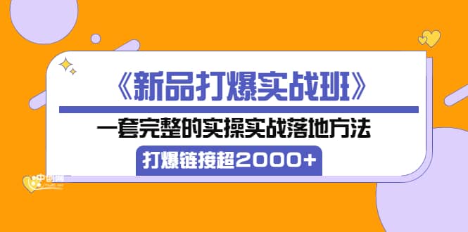 《新品打爆实战班》一套完整的实操实战落地方法，打爆链接超2000+（38节课)安创网-网创项目资源站-副业项目-创业项目-搞钱项目安创网