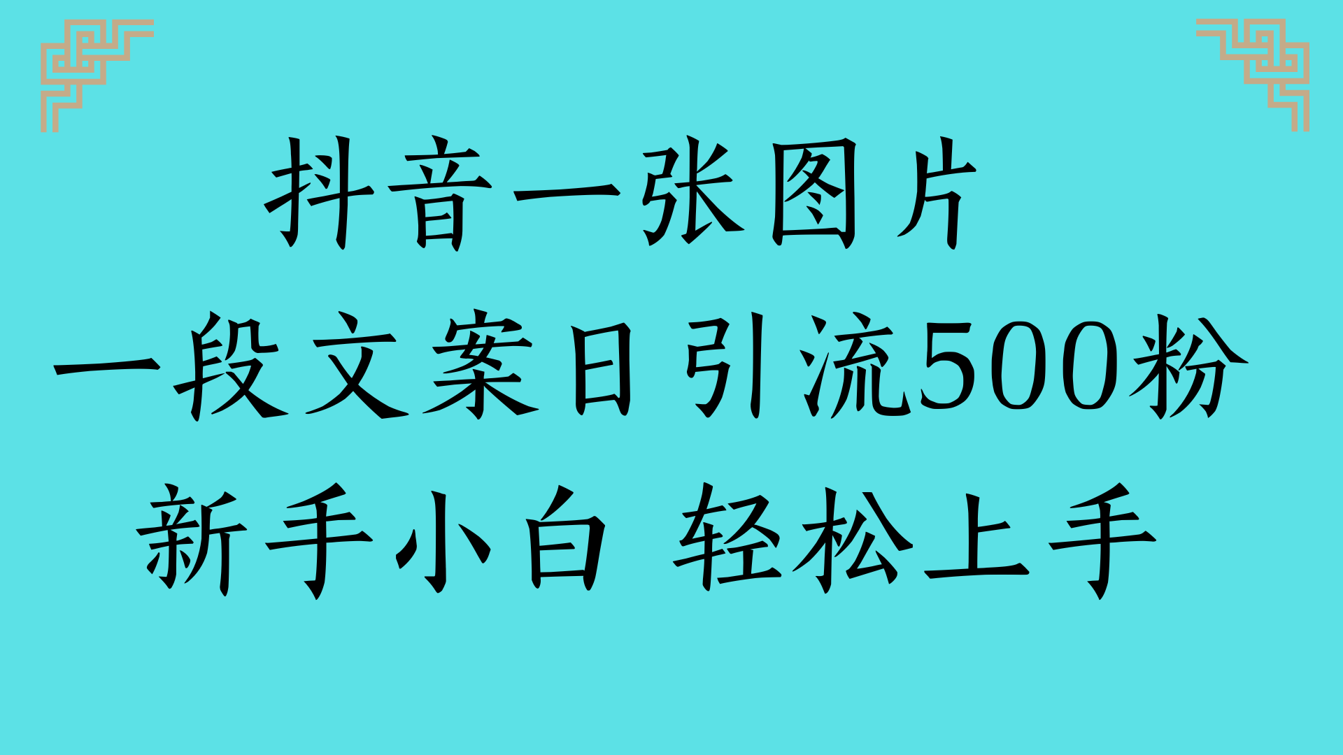 抖音一张图片 一段文案日引流500粉新手小白 轻松上手安创网-网创项目资源站-副业项目-创业项目-搞钱项目安创网