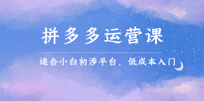 拼多多运营课，适合小白初涉平台，低成本入门安创网-网创项目资源站-副业项目-创业项目-搞钱项目安创网