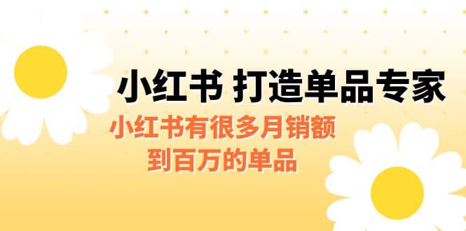 某公众号付费文章《小红书 打造单品专家》小红书有很多月销额到百万的单品安创网-网创项目资源站-副业项目-创业项目-搞钱项目安创网