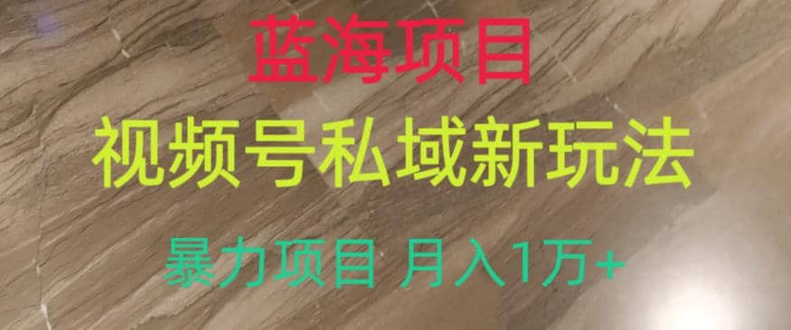 蓝海项目，视频号私域新玩法，暴力项目月入1万+【揭秘】安创网-网创项目资源站-副业项目-创业项目-搞钱项目安创网
