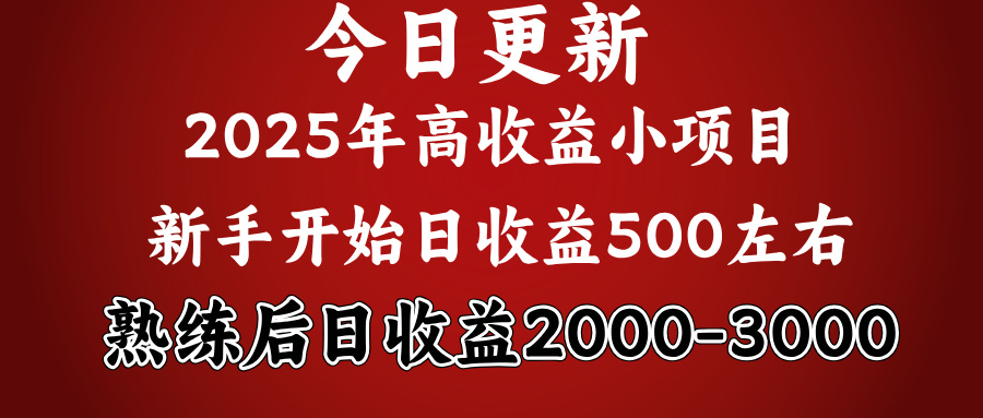 2025开年好项目，新手日收益500+ 熟练掌握后，日收益平均2000多安创网-网创项目资源站-副业项目-创业项目-搞钱项目安创网