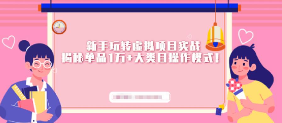 新手玩转虚拟项目实战，揭秘单品1万+大类目操作模式【视频课程】安创网-网创项目资源站-副业项目-创业项目-搞钱项目安创网