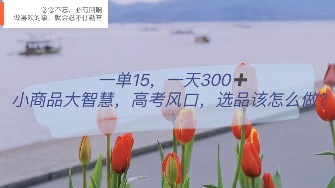 一单15，一天300+，小商品大智慧，高考风口，选品该怎么布局安创网-网创项目资源站-副业项目-创业项目-搞钱项目安创网
