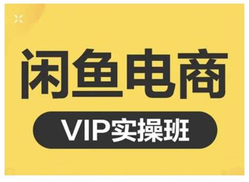 闲鱼电商零基础入门到进阶VIP实战课程，帮助你掌握闲鱼电商所需的各项技能安创网-网创项目资源站-副业项目-创业项目-搞钱项目安创网
