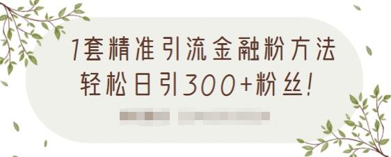 1套精准引流金融粉方法，轻松日引300+粉丝【视频课程】安创网-网创项目资源站-副业项目-创业项目-搞钱项目安创网