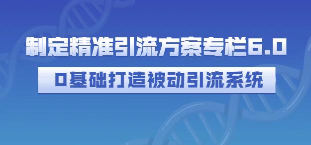 制定精准引流方案专栏6.0，0基础打造被动引流系统安创网-网创项目资源站-副业项目-创业项目-搞钱项目安创网