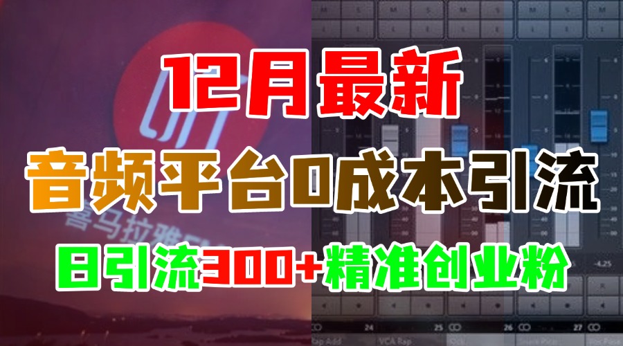 12月最新：音频平台0成本引流，日引300+精准创业粉安创网-网创项目资源站-副业项目-创业项目-搞钱项目安创网