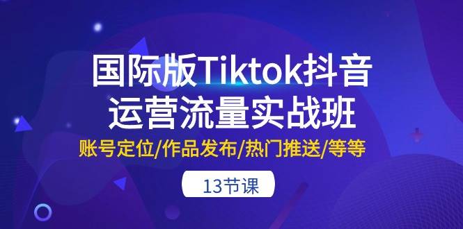 国际版Tiktok抖音运营流量实战班：账号定位/作品发布/热门推送/等等-13节安创网-网创项目资源站-副业项目-创业项目-搞钱项目安创网