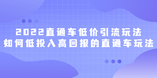 2022直通车低价引流玩法，教大家如何低投入高回报的直通车玩法安创网-网创项目资源站-副业项目-创业项目-搞钱项目安创网