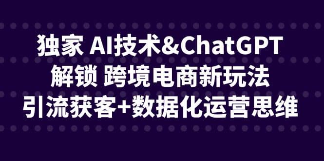独家 AI技术ChatGPT解锁 跨境电商新玩法，引流获客+数据化运营思维安创网-网创项目资源站-副业项目-创业项目-搞钱项目安创网