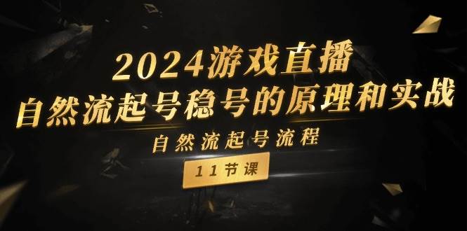 2024游戏直播-自然流起号稳号的原理和实战，自然流起号流程（11节）安创网-网创项目资源站-副业项目-创业项目-搞钱项目安创网