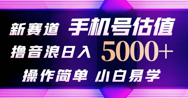 抖音不出境直播【手机号估值】最新撸音浪，日入5000+，简单易学，适合…安创网-网创项目资源站-副业项目-创业项目-搞钱项目安创网