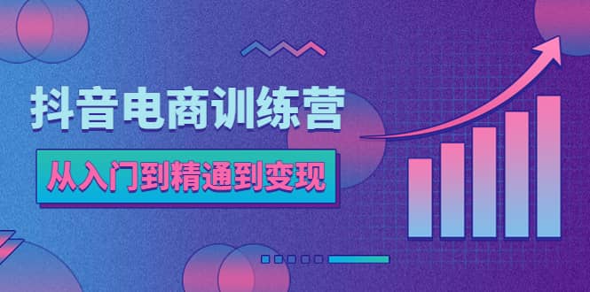 抖音电商训练营：从入门到精通，从账号定位到流量变现，抖店运营实操安创网-网创项目资源站-副业项目-创业项目-搞钱项目安创网