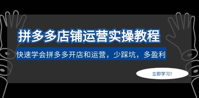 拼多多店铺运营实操教程：快速学会拼多多开店和运营，少踩坑，多盈利安创网-网创项目资源站-副业项目-创业项目-搞钱项目安创网