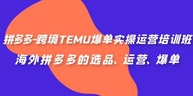 拼多多-跨境TEMU爆单实操运营培训班，海外拼多多的选品、运营、爆单安创网-网创项目资源站-副业项目-创业项目-搞钱项目安创网