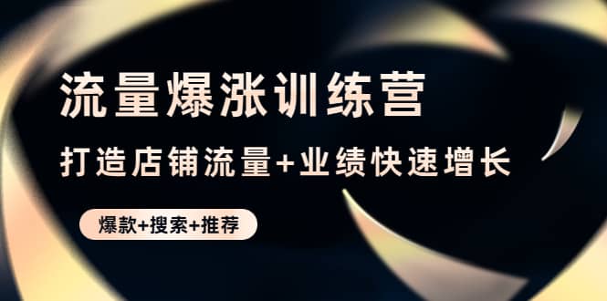 流量爆涨训练营：打造店铺流量+业绩快速增长 (爆款+搜索+推荐)安创网-网创项目资源站-副业项目-创业项目-搞钱项目安创网