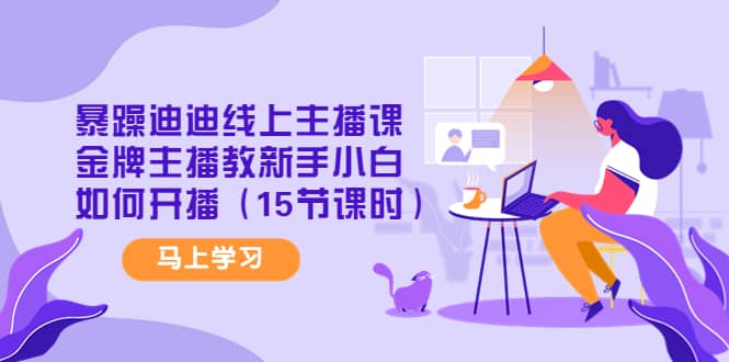 暴躁迪迪线上主播课，金牌主播教新手小白如何开播（15节课时）安创网-网创项目资源站-副业项目-创业项目-搞钱项目安创网