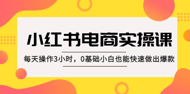 小红书·电商实操课：每天操作3小时，0基础小白也能快速做出爆款安创网-网创项目资源站-副业项目-创业项目-搞钱项目安创网