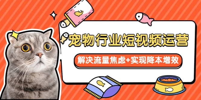 宠物/行业短视频运营 流量增长的一层窗户纸 解决流量焦虑+实现降本增效安创网-网创项目资源站-副业项目-创业项目-搞钱项目安创网